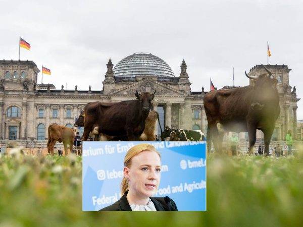 what-does-it-mean-to-be-germany-s-first-animal-rights-officer-time-news